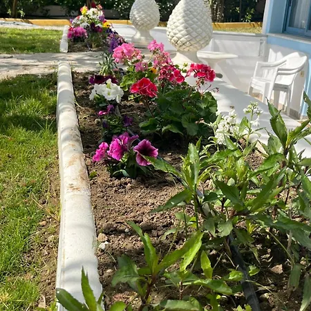 Garden And Sea Lefkada 리지아